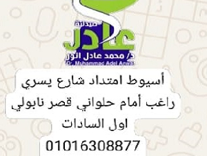 صيدلية د محمد عادل انور