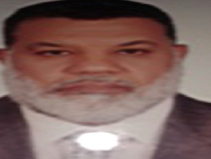 استاذ دكتور محمد جمال حسن محمد